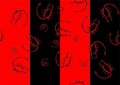 scorpion pattern