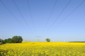 Energie ohne Ende