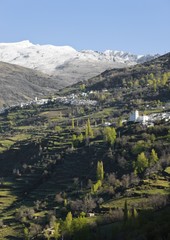 La Alpujarra, Granada Province, Spain, Europe..