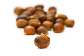 Many chestnuts isolated on the white background