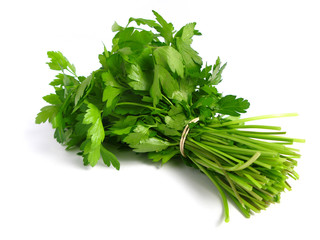 Bouquet of parsley on white background.