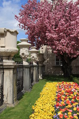 Naklejka premium mirabellgarten in salzburg