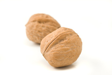 Two walnuts on white background