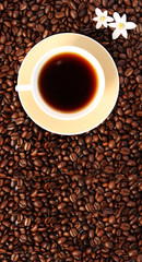Coffee background