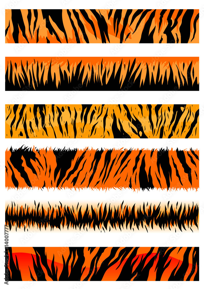 Canvas Prints Tiger skin patterns