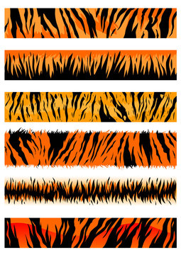 Tiger skin patterns