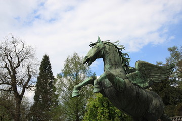 Fototapeta premium pegasus