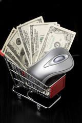 Mouse and $100 dollar bills in a shopping cart
