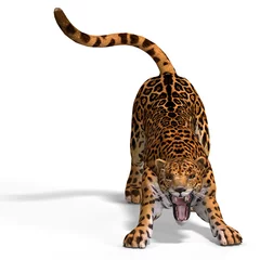 Foto op Plexiglas Big Cat Jaguar © Ralf Kraft