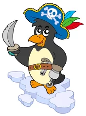 Tuinposter Piraten Piraat pinguïn