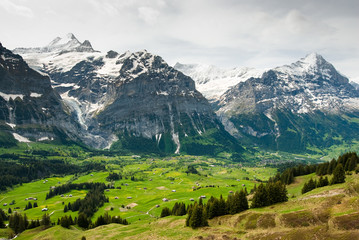 grindelwal valley in spring