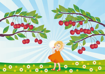 by a sun day a child tears ripe cherries