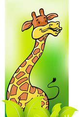 Giraffe Background