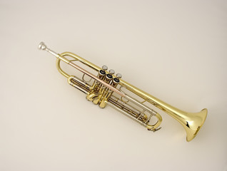 Obraz na płótnie Canvas Gold Trumpet 1