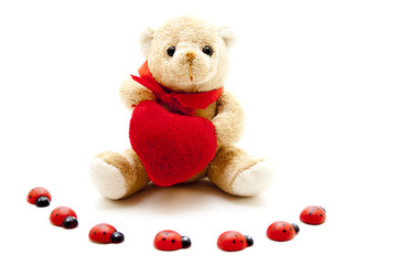 Bär mit Marienkäfer