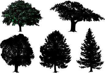 trees - vector set