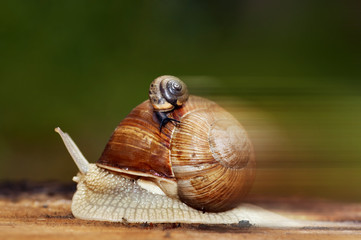 assistance - like sixty