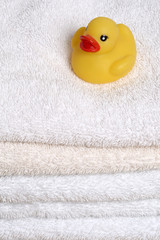 Rubber Ducky on bath towels