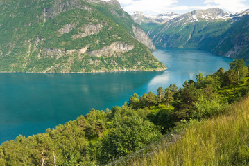Fototapeta na wymiar Awesome summer fjord