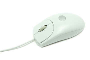 computer mouse