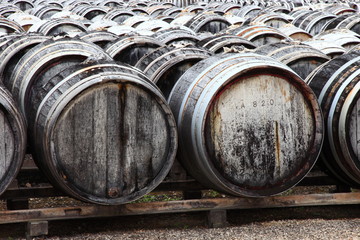 Wermut 80 Jahre gelagert, Weinfässer, Languedoc Roussilion