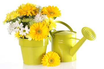 Spring floral © Barbara Helgason