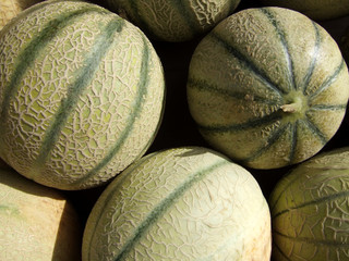 Charantaisemelonen