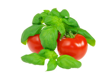 Tomate und Basilikum - tomato and basil 04