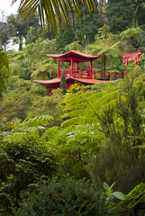 Japanese Garden - Japanischer Garten
