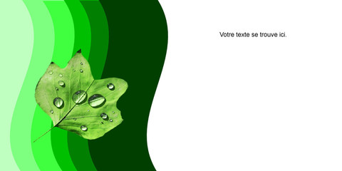 carte de visite nature