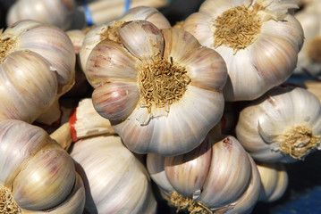 Garlic, Knoblauch