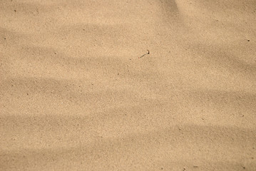 Closeup of the sand background