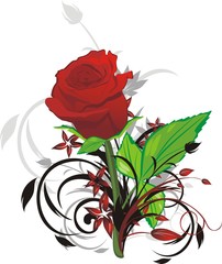 Red rose and decorative twigs. Vector
