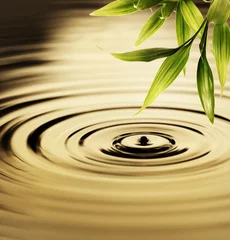 Foto auf Acrylglas Badezimmer Frische Bambusblätter über Wasser