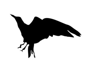 Vogel Silhouette