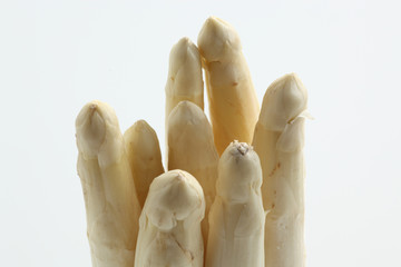 Spargel,Asparagus,(Asparagus officinalis L.)