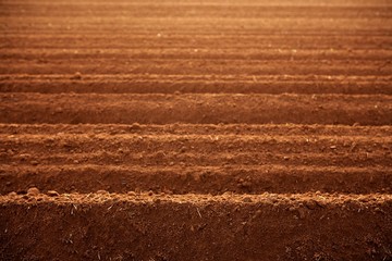 Ploughed red clay soil agriculture fields