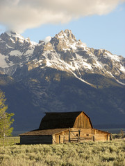 historic barn in Tetons