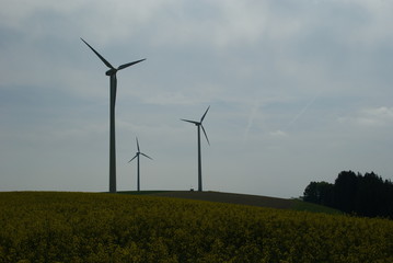 Obraz premium Windpark