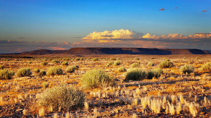 Sunset in Kalahari Desert