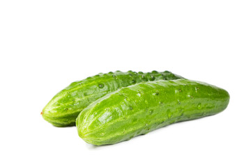 Cucumber
