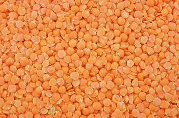 Red lentils