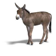 Donkey Render