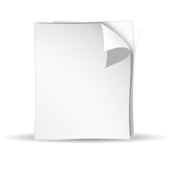 Vector 3d white papers