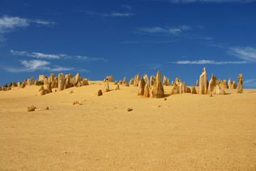 Pinnacles in Westaustralien 3