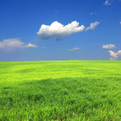 Green field and clouds in sky