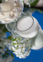 milk with cheese on a background of white spring flowers