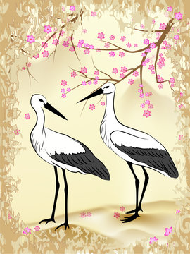 Chinese style painting. Spring landscape with sakura and two storks in love. Valentine's Day.