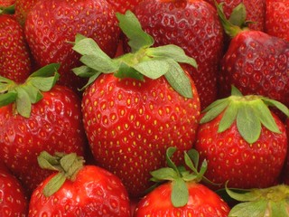 Erdbeeren, Nachtisch