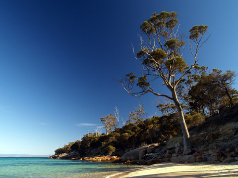 Cooks Beach In Freycinet National Park, Tasmania